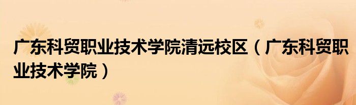 广东科贸职业技术学院(广东科贸职业技术学院清远校区)
