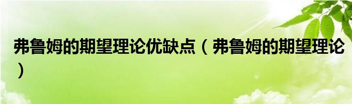 弗鲁姆的期望理论(弗鲁姆的期望理论优缺点)