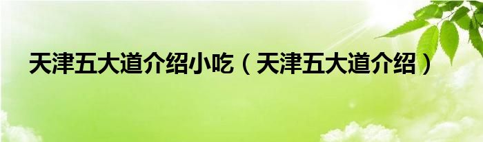 天津五大道介绍(天津五大道介绍小吃)