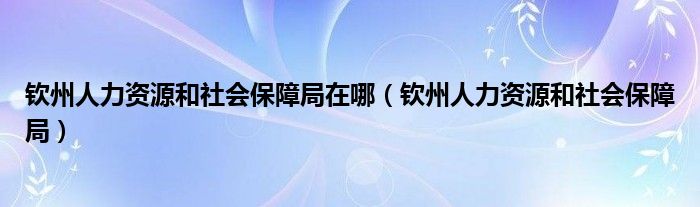 钦州人力资源和社会保障局(钦州人力资源和社会保障局在哪)