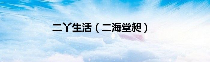 二海堂昶(二丫生活)
