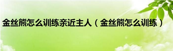 金丝熊怎么训练(金丝熊怎么训练亲近主人)
