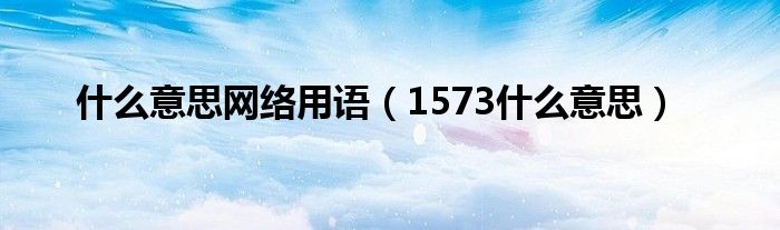 1573什么意思(什么意思网络用语)
