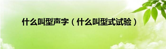 什么叫型式试验(什么叫型声字)