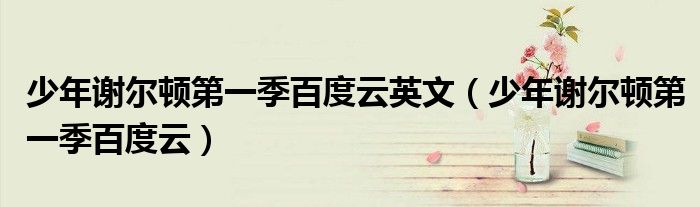 少年谢尔顿第一季百度云(少年谢尔顿第一季百度云英文)