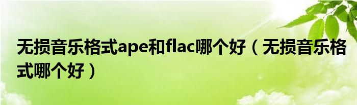 无损音乐格式哪个好(无损音乐格式ape和flac哪个好)