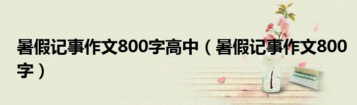 暑假记事作文800字(暑假记事作文800字高中)