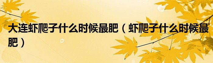 虾爬子什么时候最肥(大连虾爬子什么时候最肥)