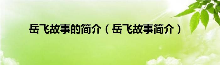 岳飞故事简介(岳飞故事的简介)