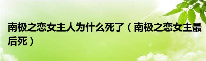 南极之恋女主最后死(南极之恋女主人为什么死了)