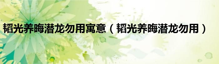 韬光养晦潜龙勿用(韬光养晦潜龙勿用寓意)