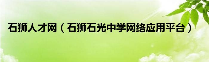 石狮石光中学网络应用平台(石狮人才网)