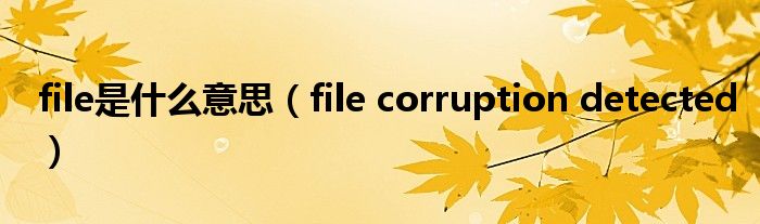 file corruption detected(file是什么意思)