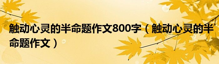 触动心灵的半命题作文(触动心灵的半命题作文800字)
