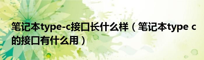 笔记本type c的接口有什么用(笔记本type-c接口长什么样)