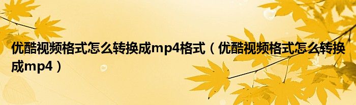 优酷视频格式怎么转换成mp4(优酷视频格式怎么转换成mp4格式)