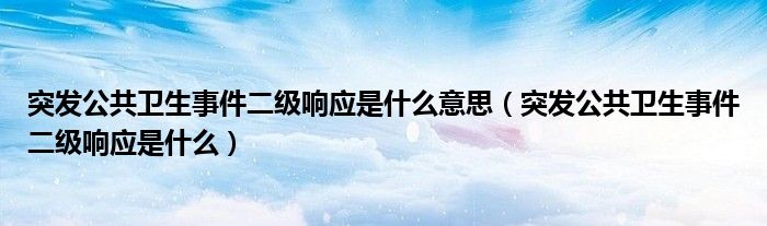 突发公共卫生事件二级响应是什么(突发公共卫生事件二级响应是什么意思)