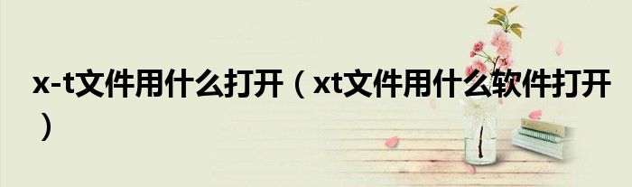 xt文件用什么软件打开(x-t文件用什么打开)