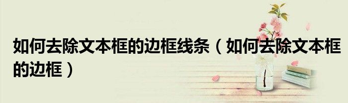 如何去除文本框的边框(如何去除文本框的边框线条)
