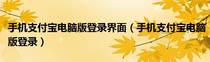 手机支付宝电脑版登录(手机支付宝电脑版登录界面)