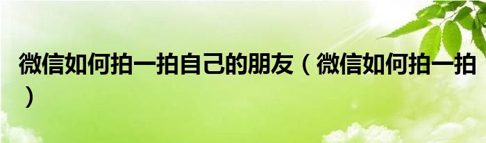 微信如何拍一拍(微信如何拍一拍自己的朋友)