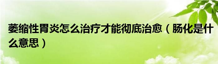 肠化是什么意思(萎缩性胃炎怎么治疗才能彻底治愈)