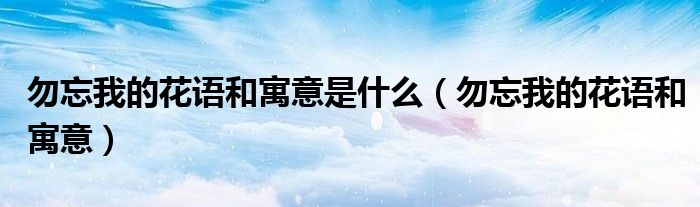 勿忘我的花语和寓意(勿忘我的花语和寓意是什么)