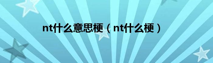 nt什么梗(nt什么意思梗)