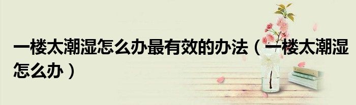 一楼太潮湿怎么办(一楼太潮湿怎么办最有效的办法)