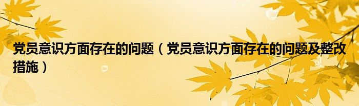 党员意识方面存在的问题及整改措施(党员意识方面存在的问题)