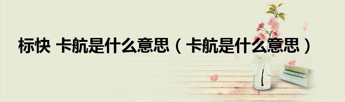 卡航是什么意思(标快 卡航是什么意思)