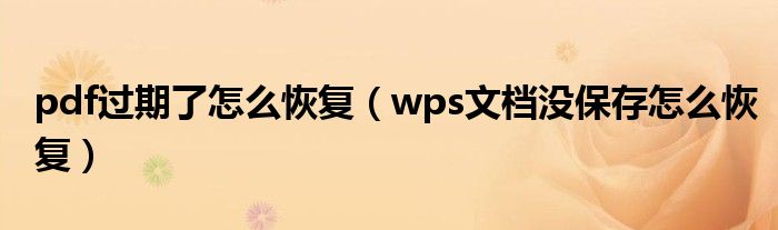 wps文档没保存怎么恢复(pdf过期了怎么恢复)