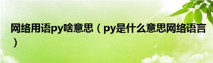 py是什么意思网络语言(网络用语py啥意思)