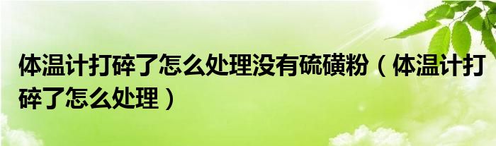 体温计打碎了怎么处理(体温计打碎了怎么处理没有硫磺粉)