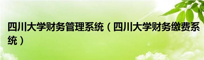 四川大学财务缴费系统(四川大学财务管理系统)