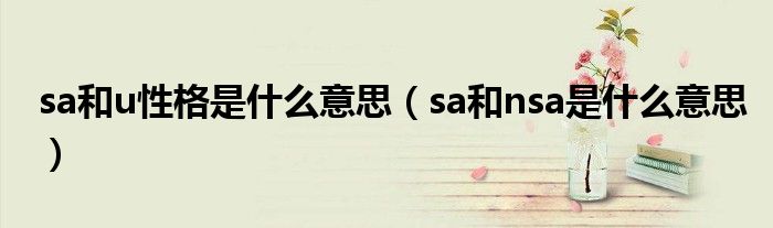 sa和nsa是什么意思(sa和u性格是什么意思)