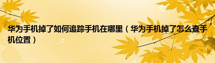 华为手机掉了怎么查手机位置(华为手机掉了如何追踪手机在哪里)