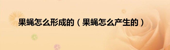 果蝇怎么产生的(果蝇怎么形成的)