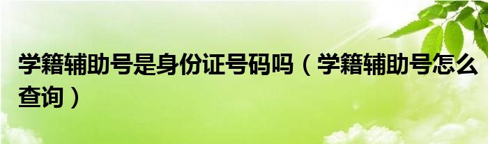 学籍辅助号怎么查询(学籍辅助号是身份证号码吗)