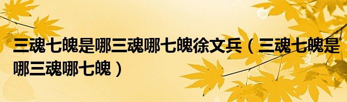 三魂七魄是哪三魂哪七魄(三魂七魄是哪三魂哪七魄徐文兵)