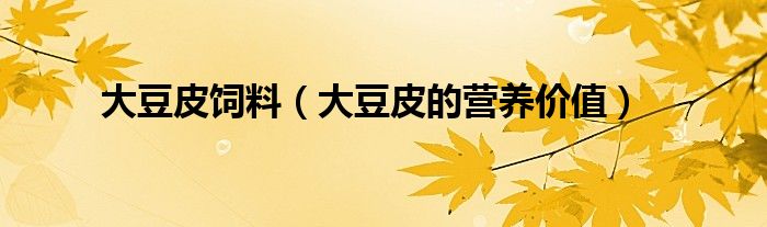 大豆皮的营养价值(大豆皮饲料)