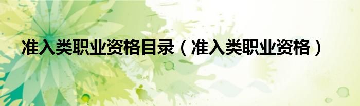 准入类职业资格(准入类职业资格目录)