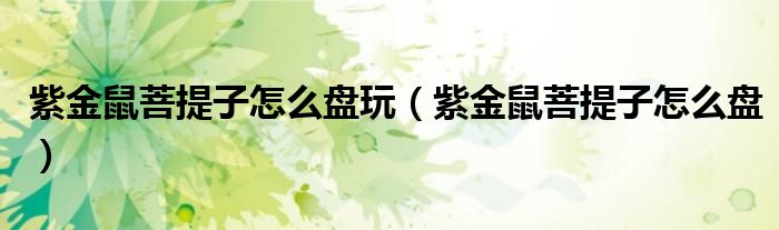 紫金鼠菩提子怎么盘(紫金鼠菩提子怎么盘玩)