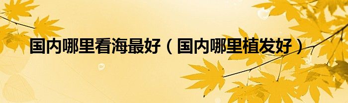 国内哪里植发好(国内哪里看海最好)