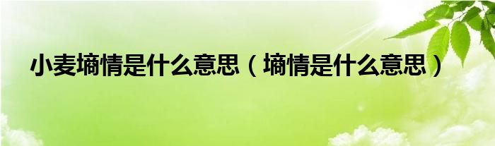 墒情是什么意思(小麦墒情是什么意思)