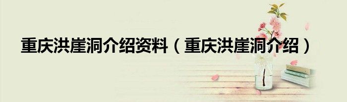 重庆洪崖洞介绍(重庆洪崖洞介绍资料)
