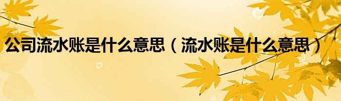 流水账是什么意思(公司流水账是什么意思)