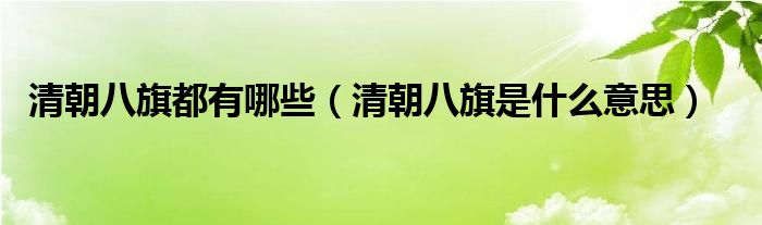 清朝八旗是什么意思(清朝八旗都有哪些)