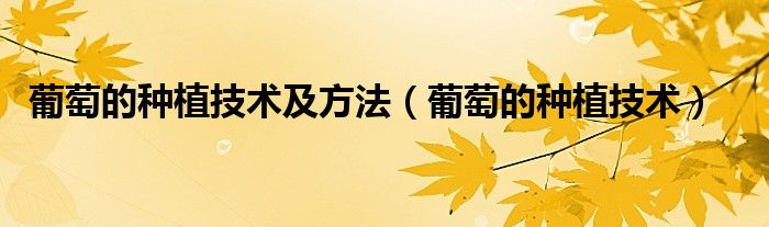 葡萄的种植技术(葡萄的种植技术及方法)