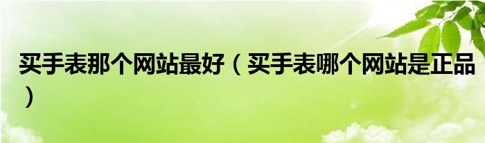 买手表哪个网站是正品(买手表那个网站最好)